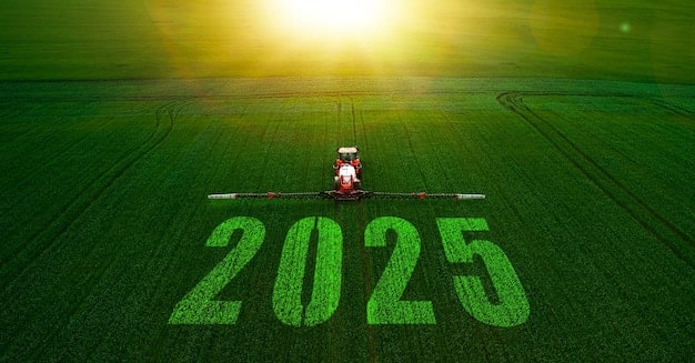 5 Mudanças Regulamento Brasileirão 2025 Que Você Precisa Saber
