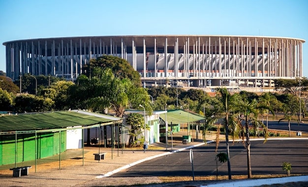 Profissionalização da Gestão Esportiva: Impulsionando o Esporte no Brasil