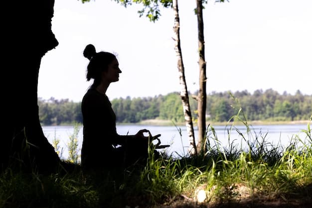 Meditação Mindfulness: Reduza o Estresse em 25% em 4 Semanas