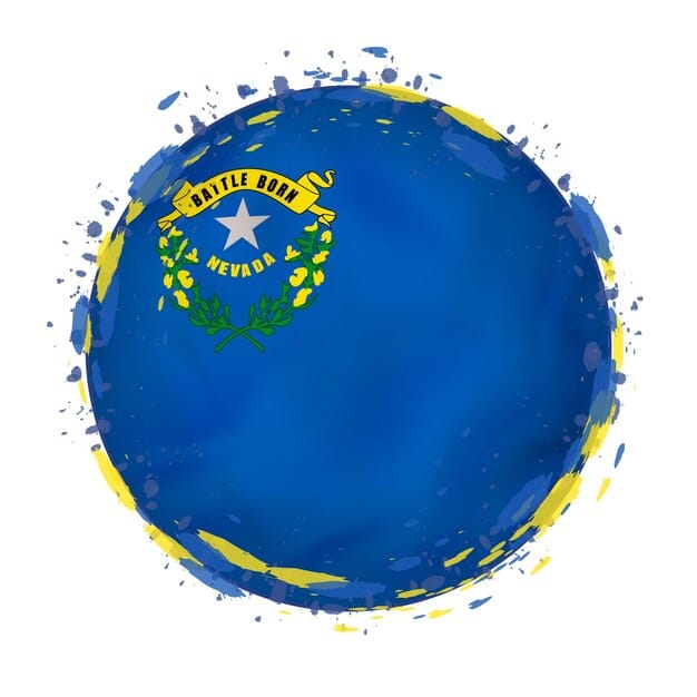 A detailed illustration of the blue circle in the center of the brazilian flag, showcasing the stars representing the states and the motto 