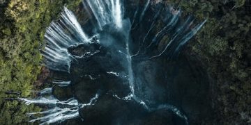 Amazônia Fascinante: 8 Curiosidades Que Você Precisa Conhecer - Cover Image