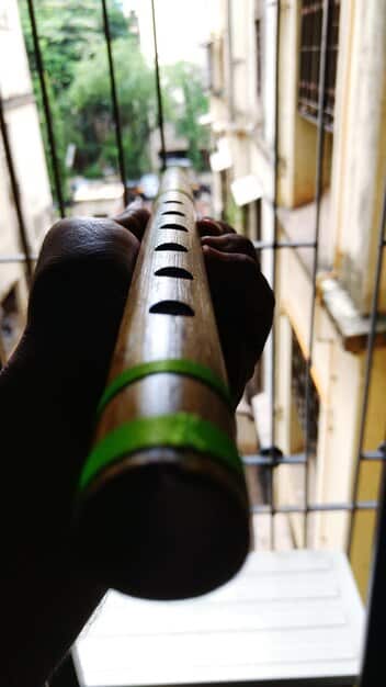 A close-up image of a berimbau, highlighting its intricate construction and the rich sound it produces, essential to the capoeira rhythm.