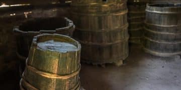 A História da Cachaça: 6 Curiosidades e Segredos da Bebida Brasileira - Cover Image