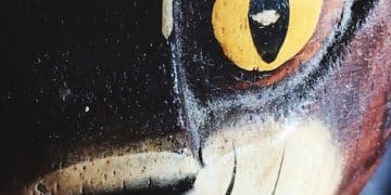 5 Superstições Brasileiras que Persistem em 2025: Você Acredita? - Cover Image