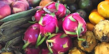 Alimentos Funcionais Brasileiros: Guia para Imunidade em 3 Meses - Cover Image