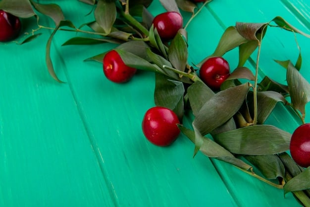 A close-up shot of fresh, ripe acerola cherries on a branch, with vibrant green leaves in the background. The focus is on the bright red color and texture of the acerola.