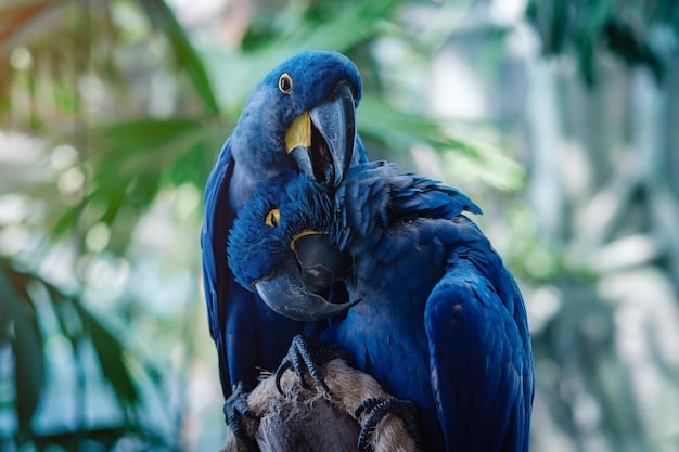 A stunning portrait of a vibrant blue macaw (arara-azul) in its natural habitat. The macaw is perched on a branch, with its brilliant blue feathers contrasting against the green foliage of the Amazon rainforest. The bird's intelligent eyes are clearly visible, conveying its alertness and beauty.