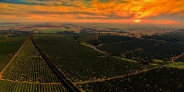 Blockchain no Agronegócio: Rastreabilidade e Confiança do Consumidor - Cover Image